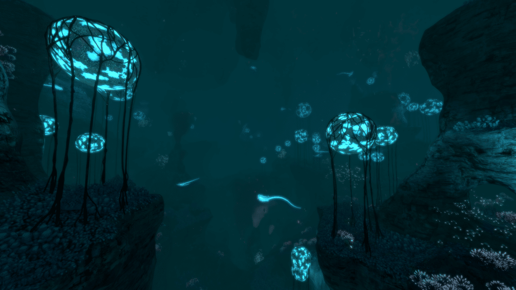 Scene from the Deep Grand Reef.