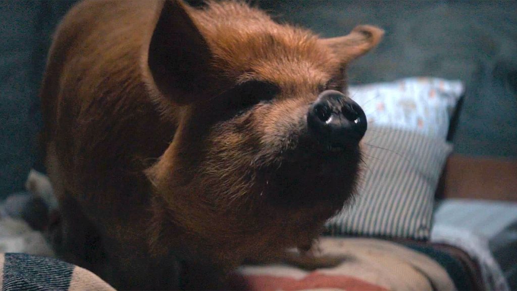 pig movie review nicolas cage