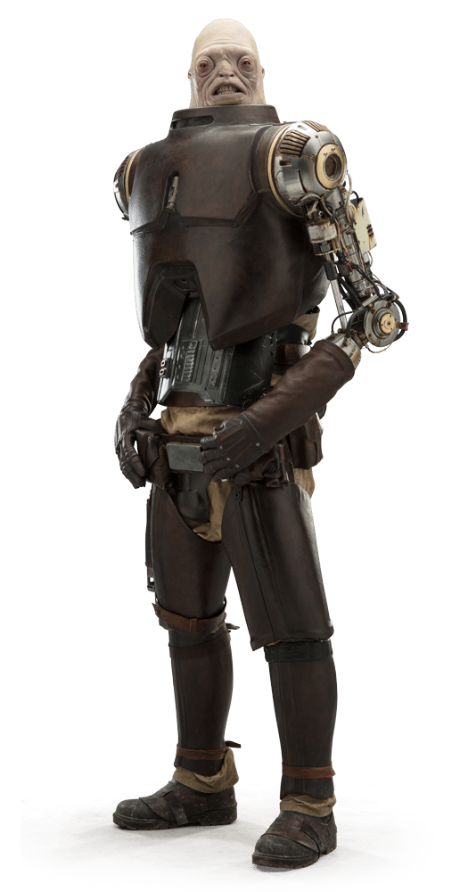 Will we see Dengar in The Book of Boba Fett