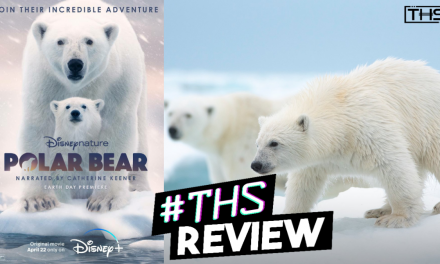 Polar Bear: Meet the Queens of the Arctic In This DisneyNature Special [Review]