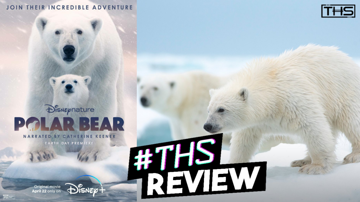 lineær and side Polar Bear: Meet the Queens of the Arctic In This DisneyNature Special [ Review]