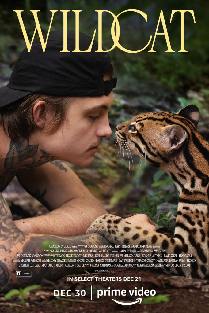 Wildcat documentary poster - Amazon Prime Video 2022