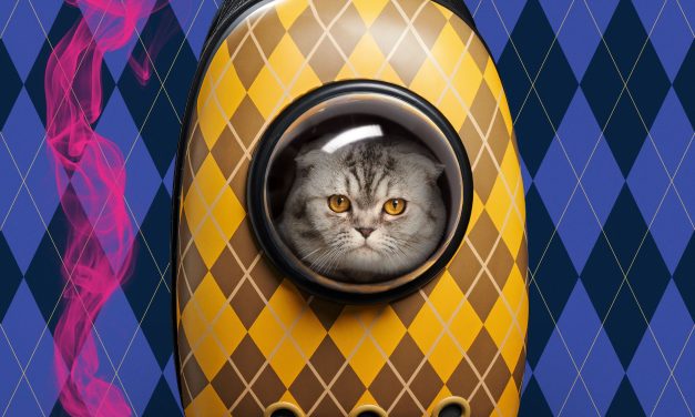 Spy Thriller ‘Argylle’ Teaser Tests Cat Reflexes
