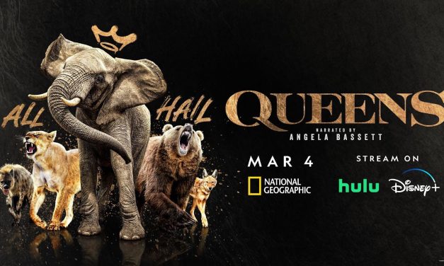 National Geographic Previews ‘Queens’ Series About Powerful Animal Matriarchs, Narrated By Angela Bassett