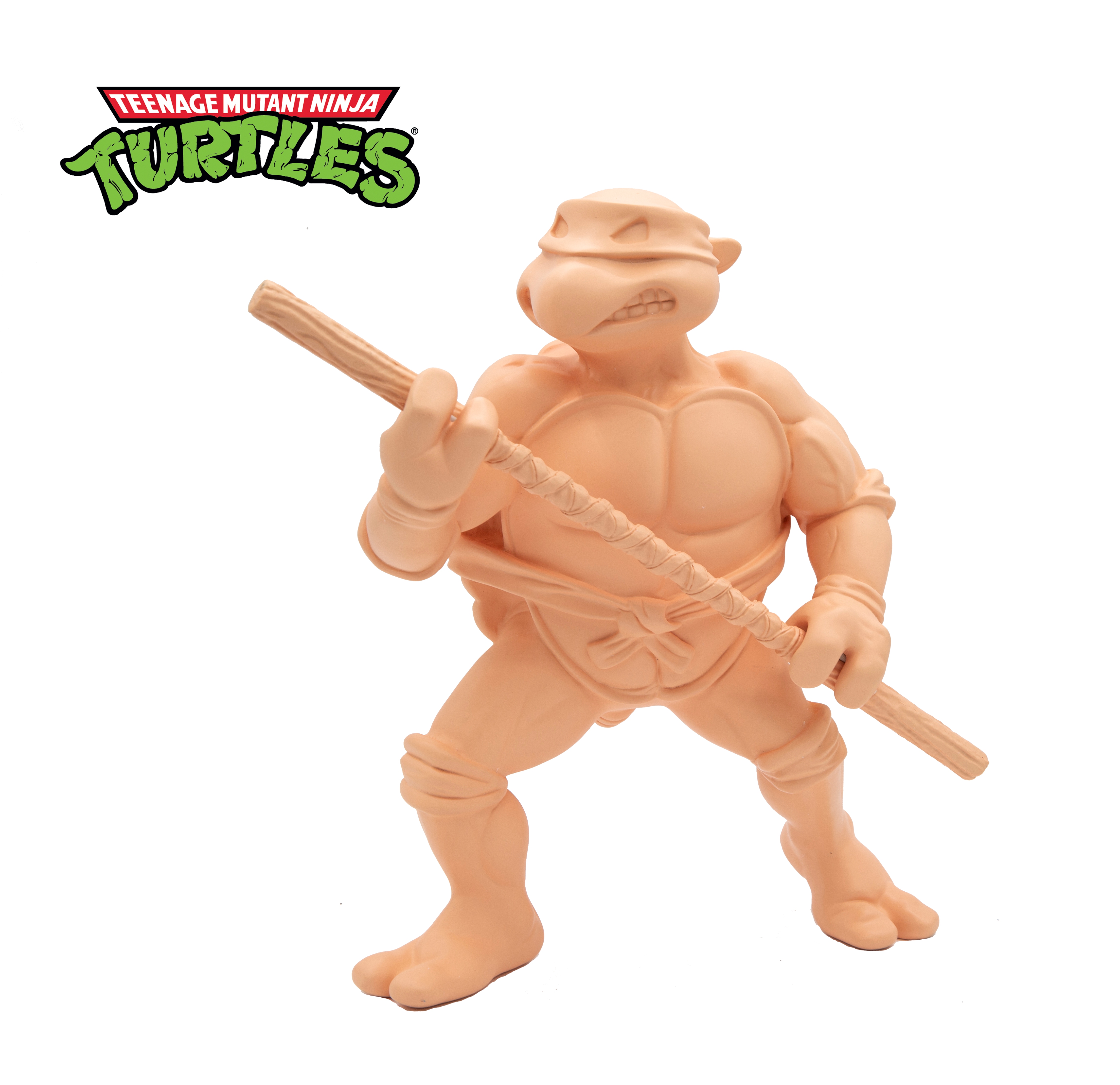 TMNT Firsts: The Pitch Turtle