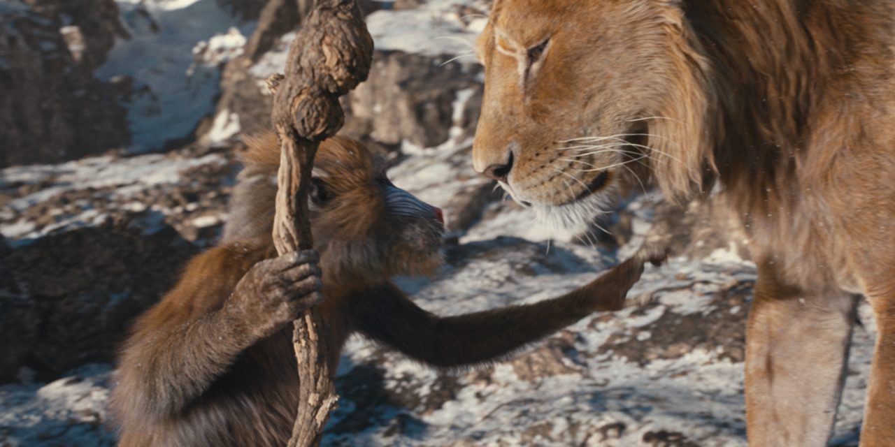 'Mufasa: The Lion King' Roars Onto IMAX This December - That Hashtag Show