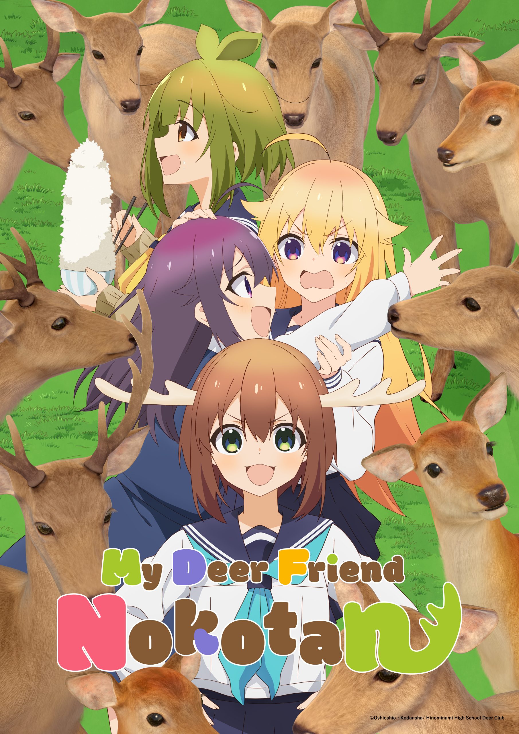 My <b>Deer</b> Friend Nokotan NA key visual 1. 