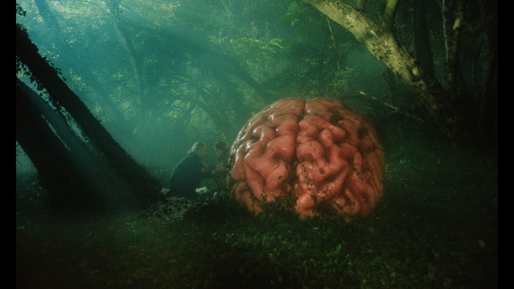 Roy Dupuis and Alicia Vikander in RUMOURS, next to a car-sized giant brain in a forest