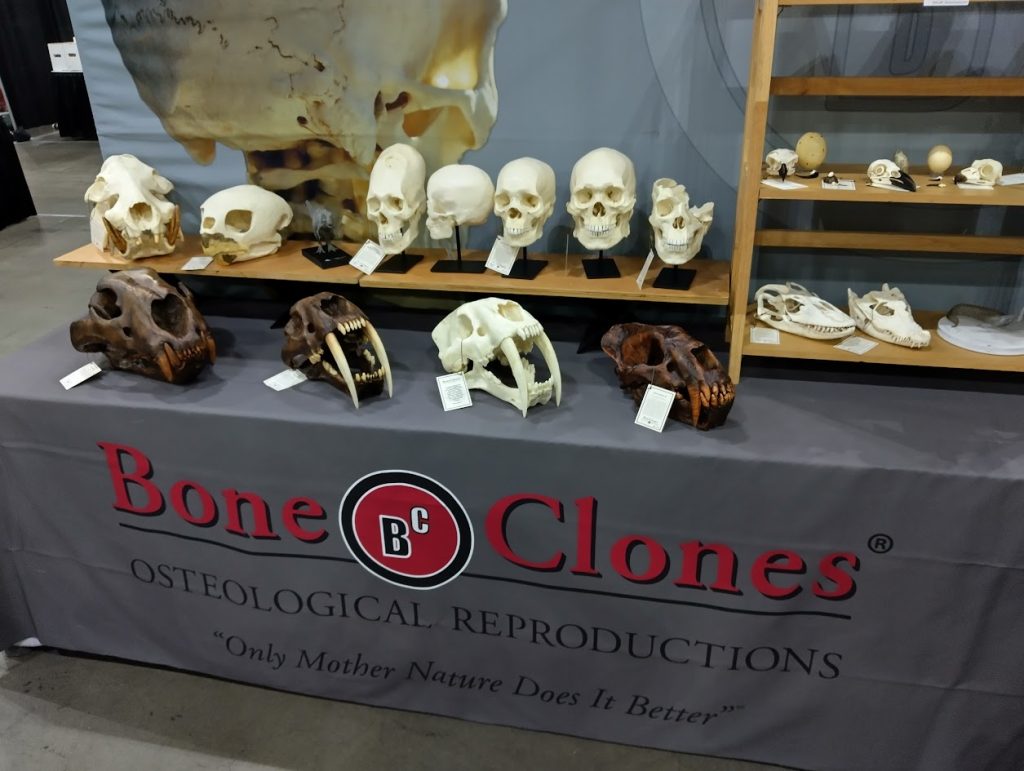 Bone Clones booth 1.