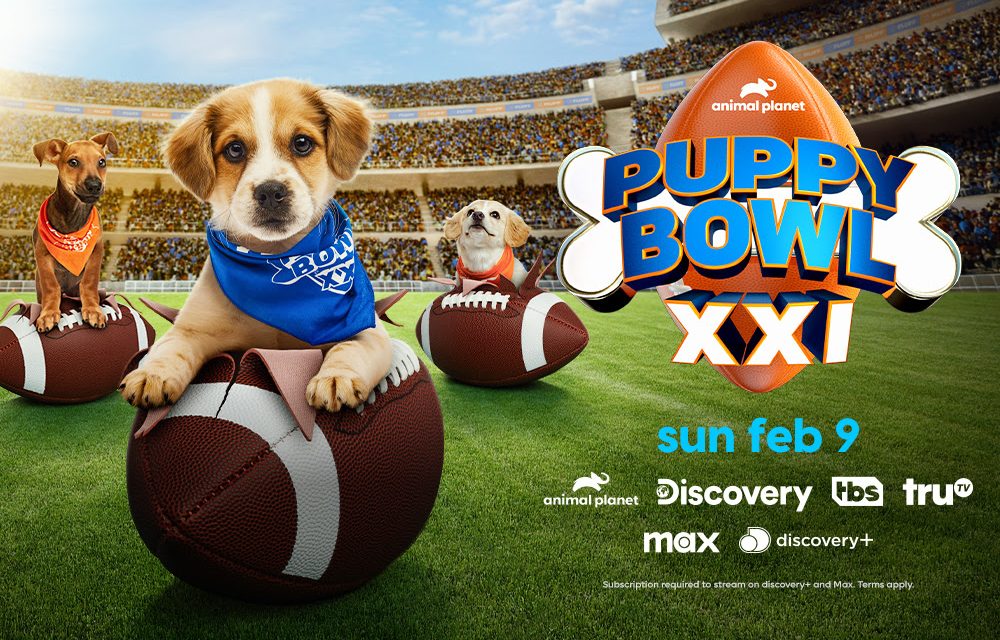 ‘Puppy Bowl XXI’ Rosters Revealed With More Puppies Than Ever