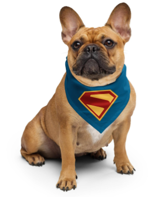 Krypto The Superdog Collection Takes Flight