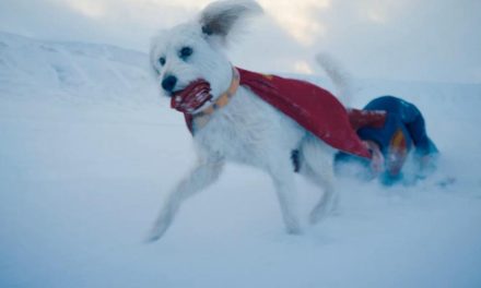 Krypto The Superdog Collection Takes Flight