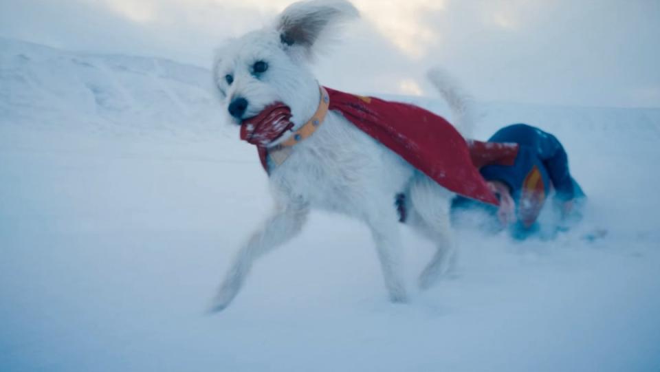 Krypto The Superdog Collection Takes Flight